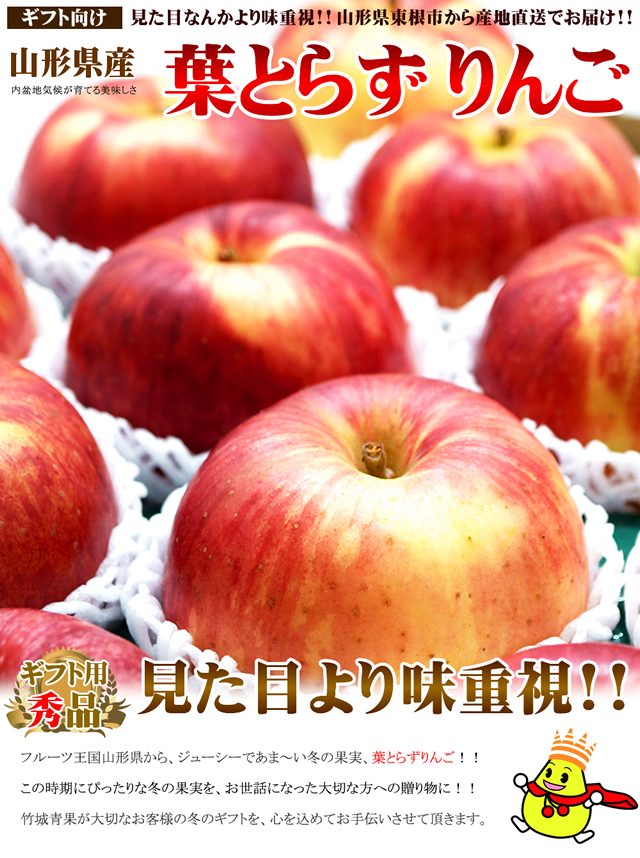 山形県産 りんご 葉とらずりんご 10kg