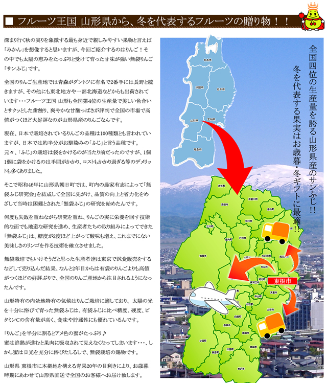 山形県産 りんご 葉とらずりんご 10kg