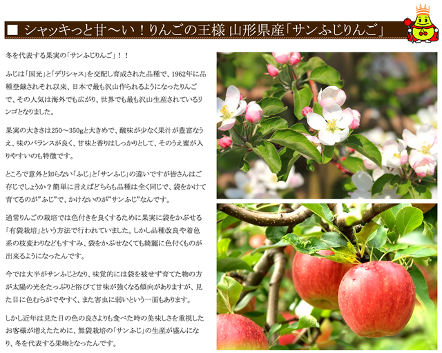 山形県産 りんご 葉とらずりんご 10kg