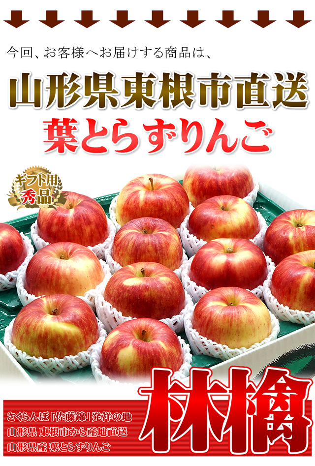 山形県産 りんご 葉とらずりんご 10kg
