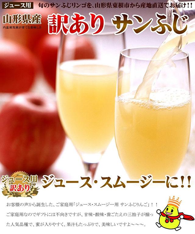 ジュース用 訳あり りんご