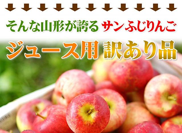 ジュース用 訳あり りんご