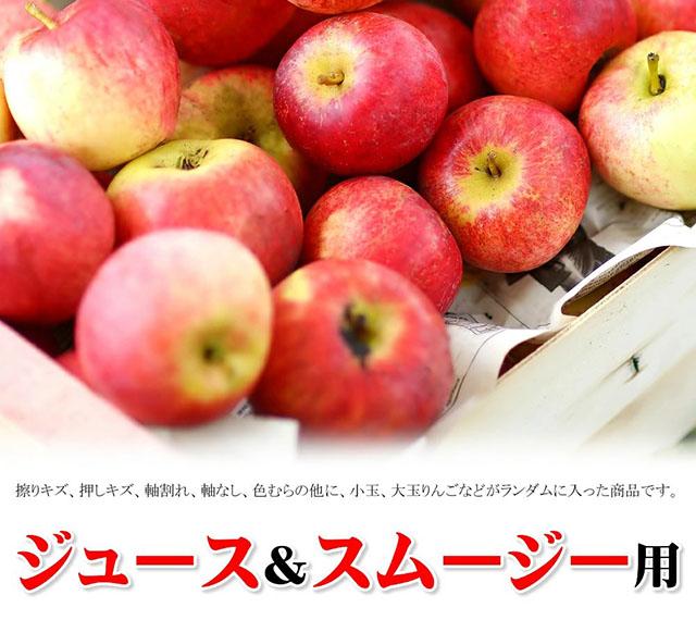 ジュース用 訳あり りんご