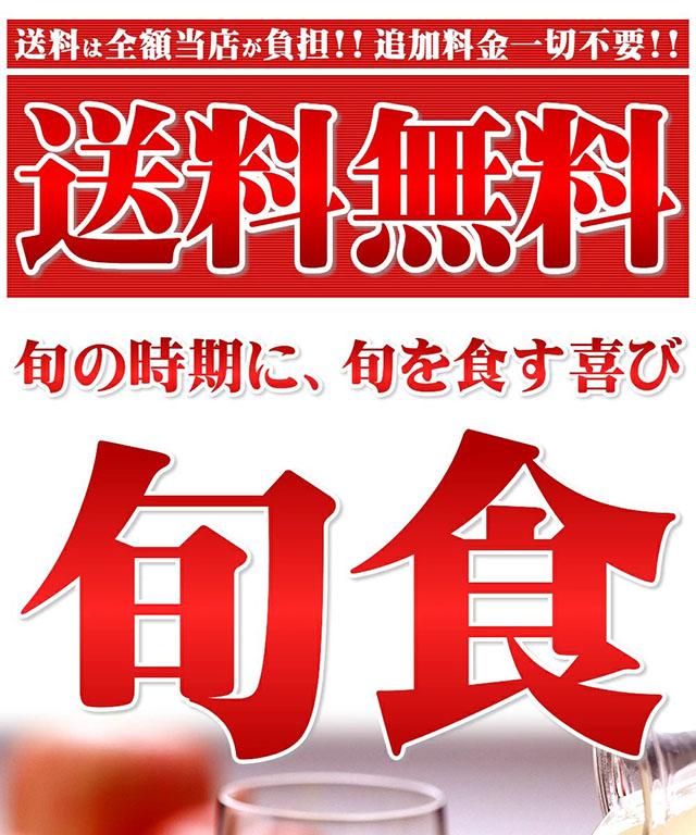 ジュース用 訳あり りんご