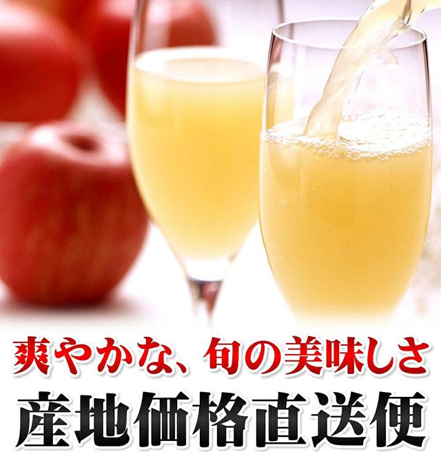 ジュース用 訳あり りんご
