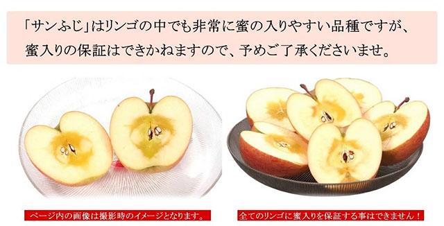 ジュース用 訳あり りんご