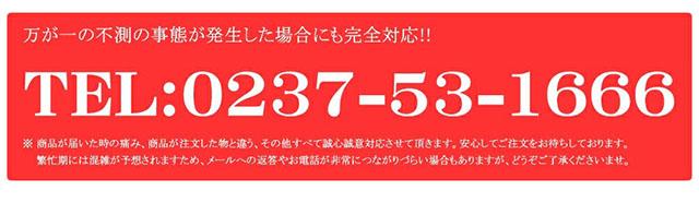 ご家庭用 庄内柿