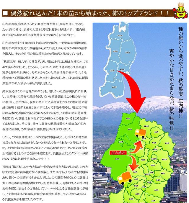 ご家庭用 庄内柿