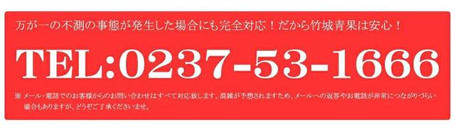 秀品 庄内柿