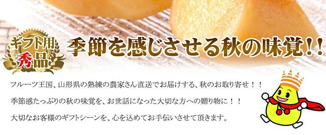 秀品 庄内柿