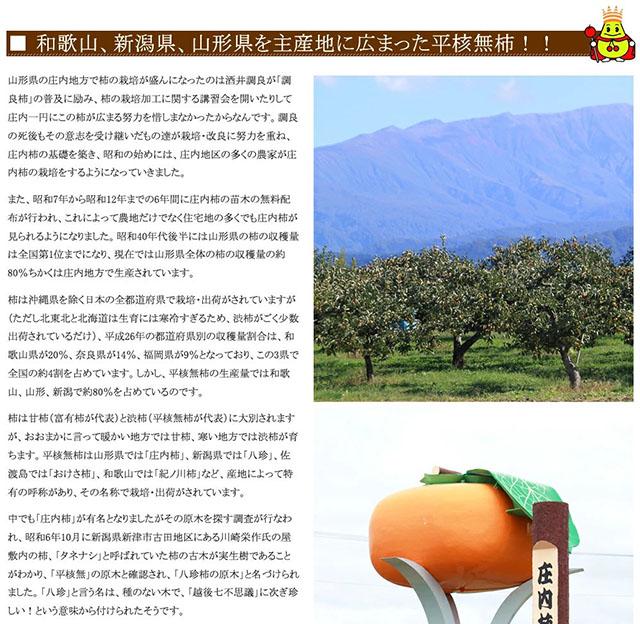 秀品 庄内柿