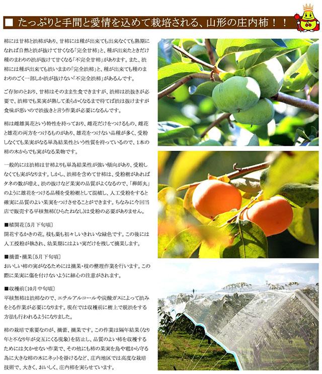 秀品 庄内柿