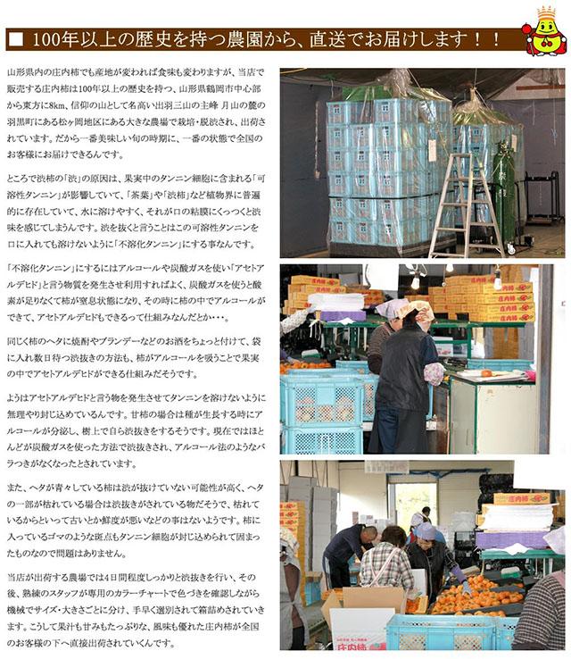 秀品 庄内柿