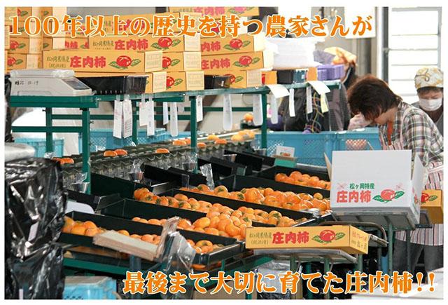 秀品 庄内柿