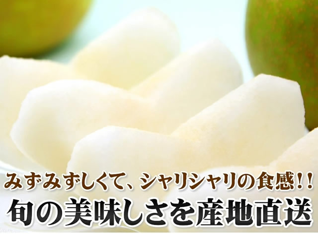 山形県産 和梨(各種)