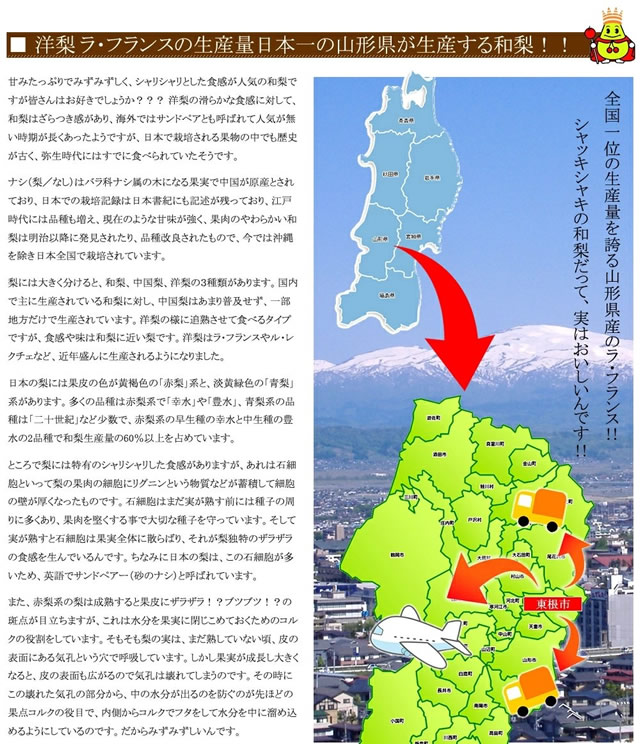 山形県産 和梨(各種)