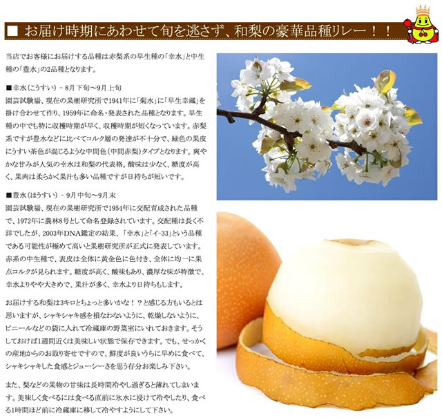 山形県産 和梨(各種)