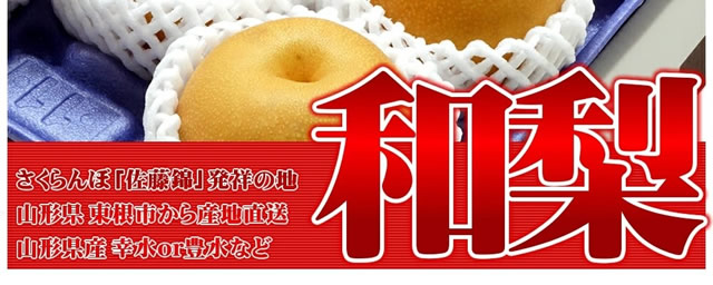 山形県産 和梨(各種)