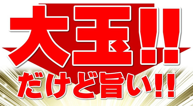 山形県産 尾花沢すいか