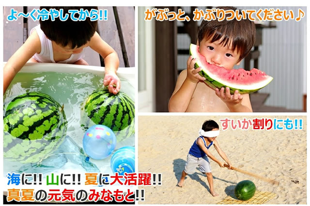 山形県産 尾花沢すいか