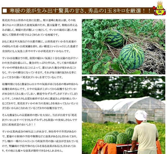 山形県産 尾花沢すいか