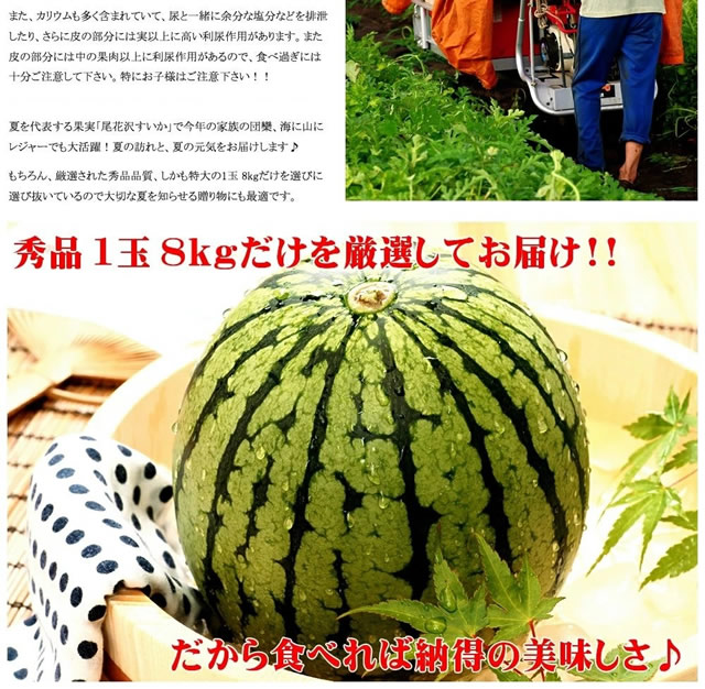 山形県産 尾花沢すいか