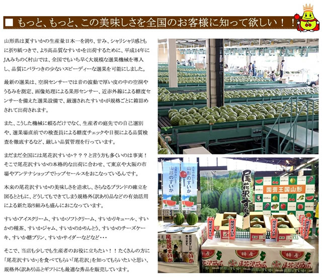 山形県産 尾花沢すいか