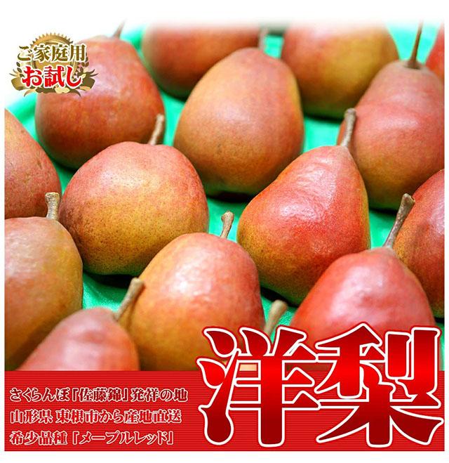 ご家庭用 メープルレッド