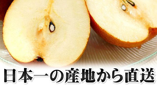 ご家庭用 メープルレッド