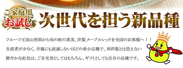 ご家庭用 メープルレッド