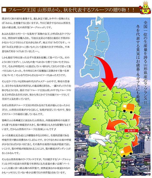 ご家庭用 メープルレッド