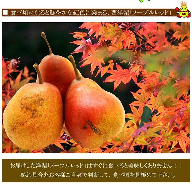 ご家庭用 メープルレッド