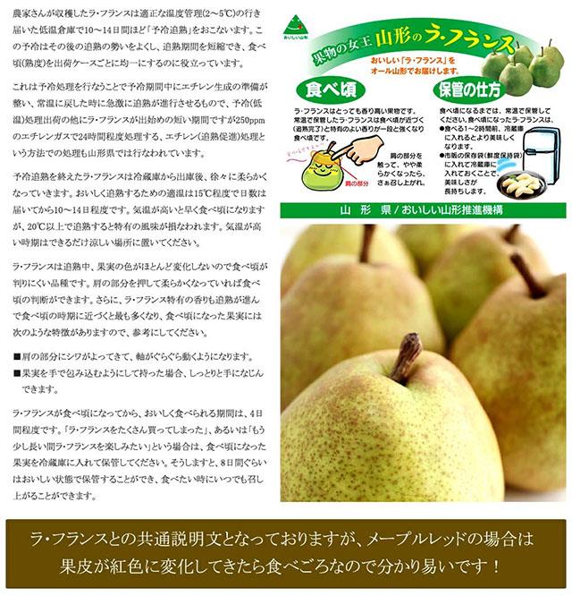 ご家庭用 メープルレッド