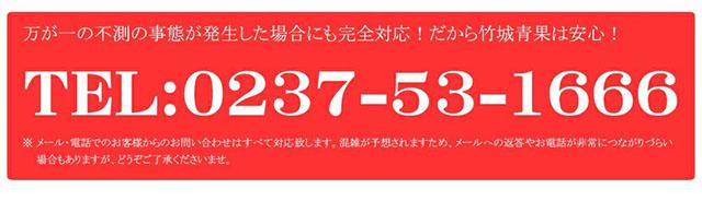 ご家庭用 メープルレッド