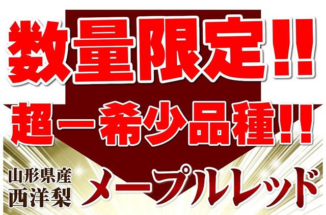 ご家庭用 メープルレッド