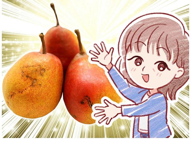 ご家庭用 メープルレッド