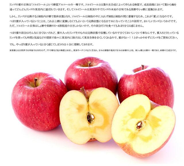 ご家庭用 訳あり りんご