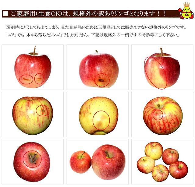 ご家庭用 訳あり りんご