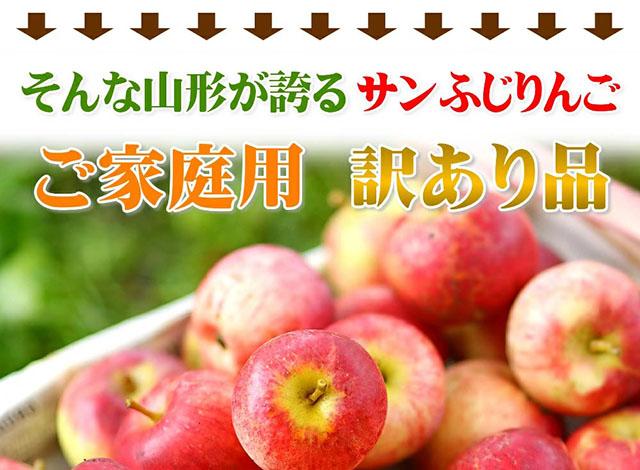 ご家庭用 訳あり りんご
