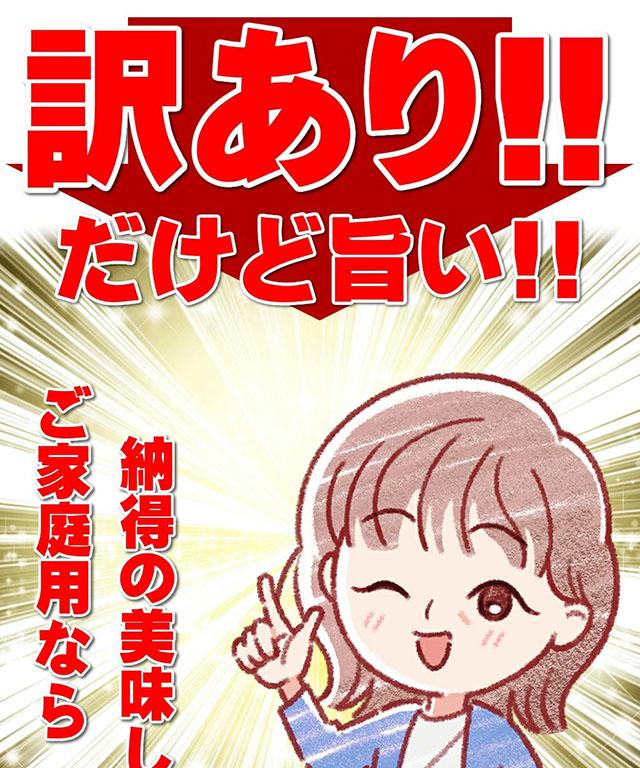 ご家庭用 訳あり りんご