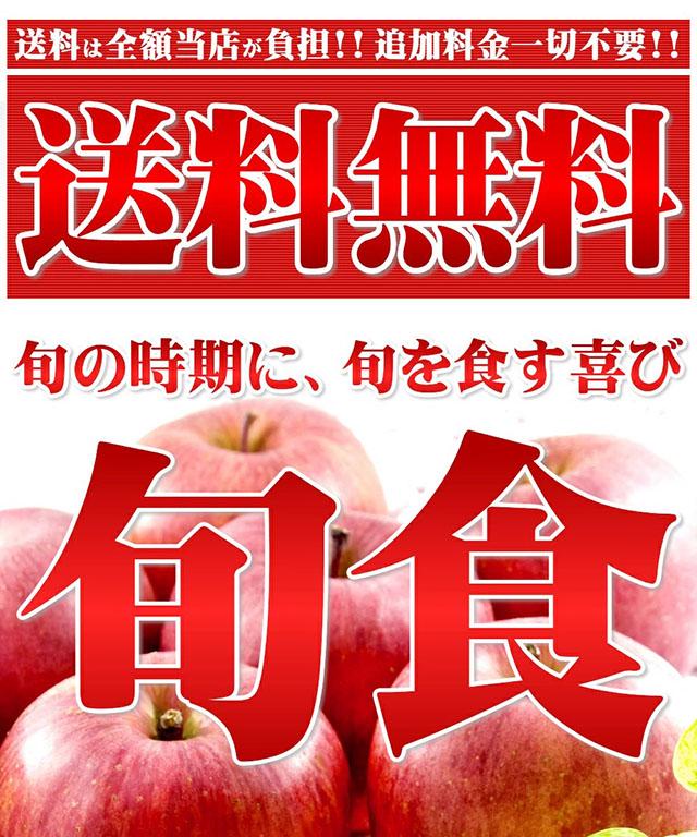 ご家庭用 訳あり りんご