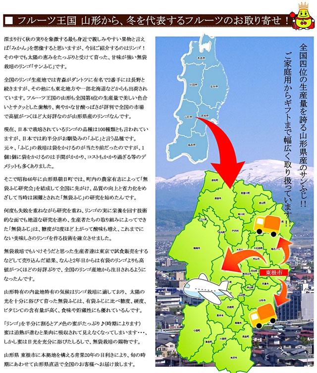 ご家庭用 訳あり りんご