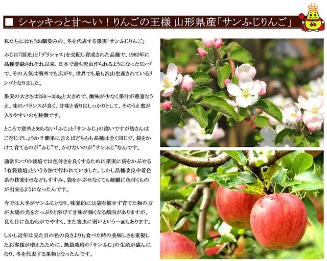 ご家庭用 訳あり りんご