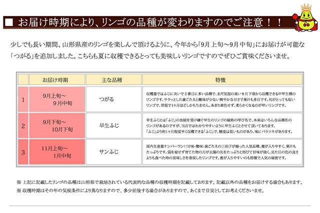 ご家庭用 訳あり りんご