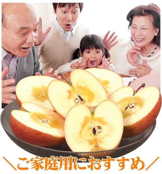 ご家庭用 準秀品 りんご