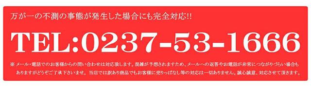 ご家庭用 準秀品 りんご