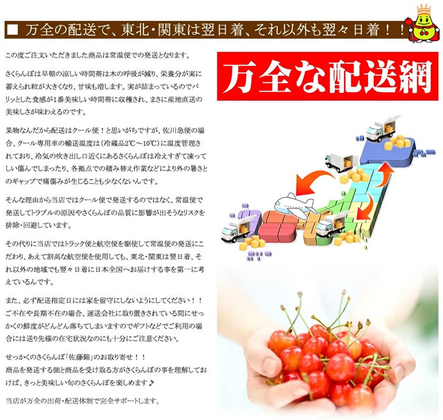 山形県産 さくらんぼ 佐藤錦