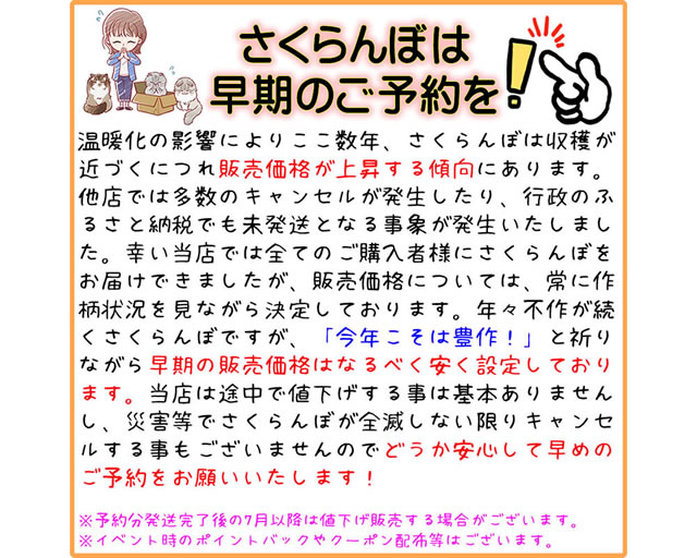 さくらんぼ 早期予約