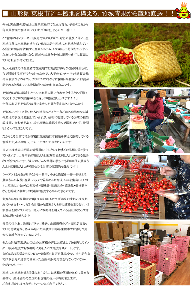 山形県産 さくらんぼ 紅秀峰