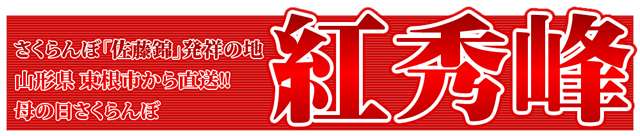 山形県産 さくらんぼ 紅秀峰